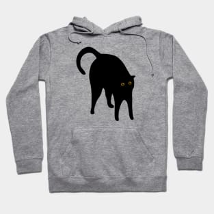 Scared black cat Hoodie